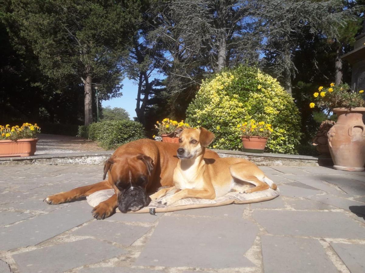 Casal Ponziani Per Civita E Dintorni Villa Bagnoregio Exterior photo